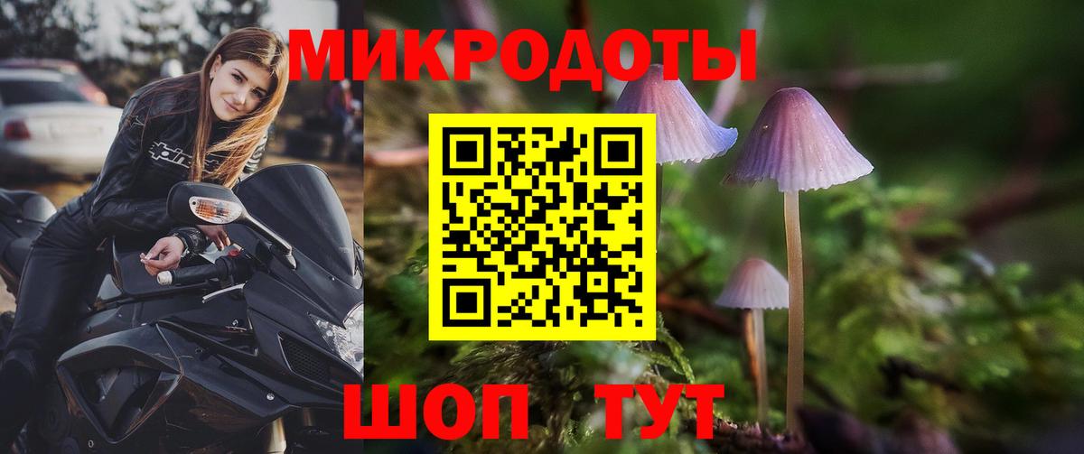 Новокуйбышевск  Галлюциногенные грибы Cubensis  Вход с VPN 