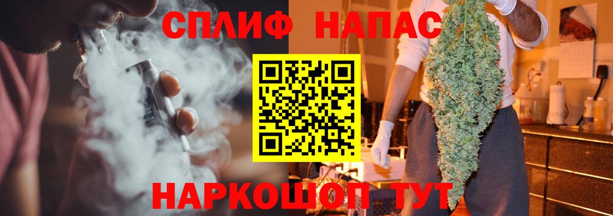 Бошки марихуана сатива Новокуйбышевск